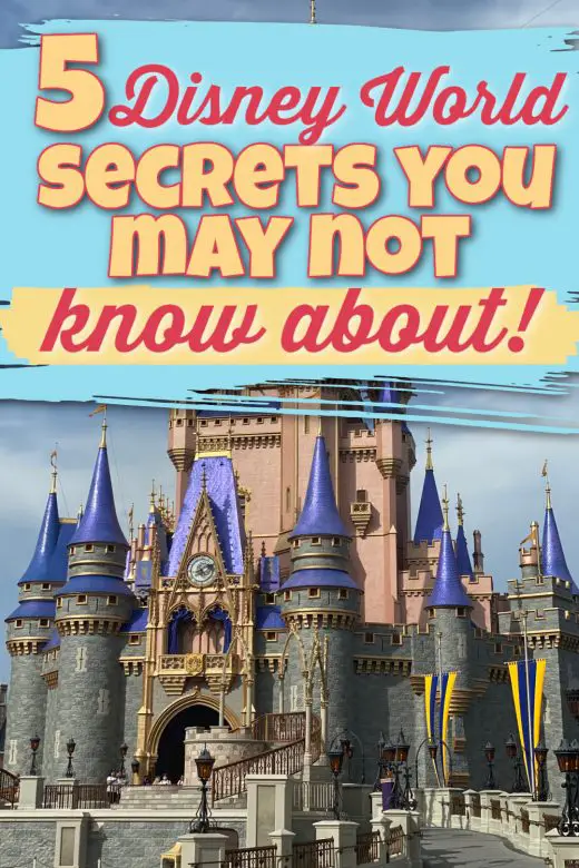 Five Walt Disney World Secrets You Might Not Know (2024) Magical