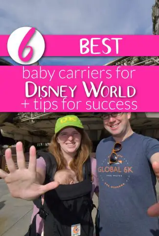 best baby carriers at disney world