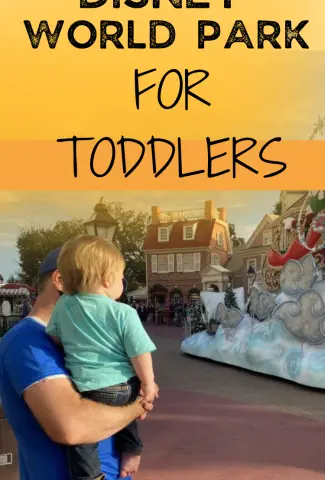 The Best Disney World Park for Toddlers