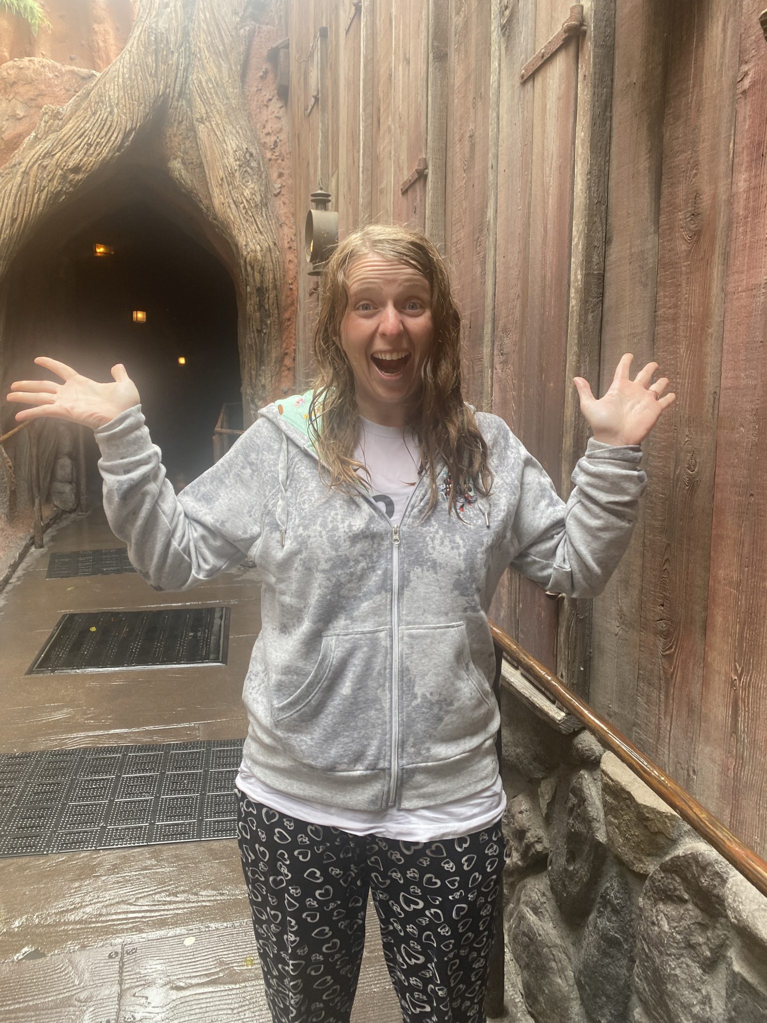 The Top 6 Best Baby Carriers for Disney World (2023) Magical Family