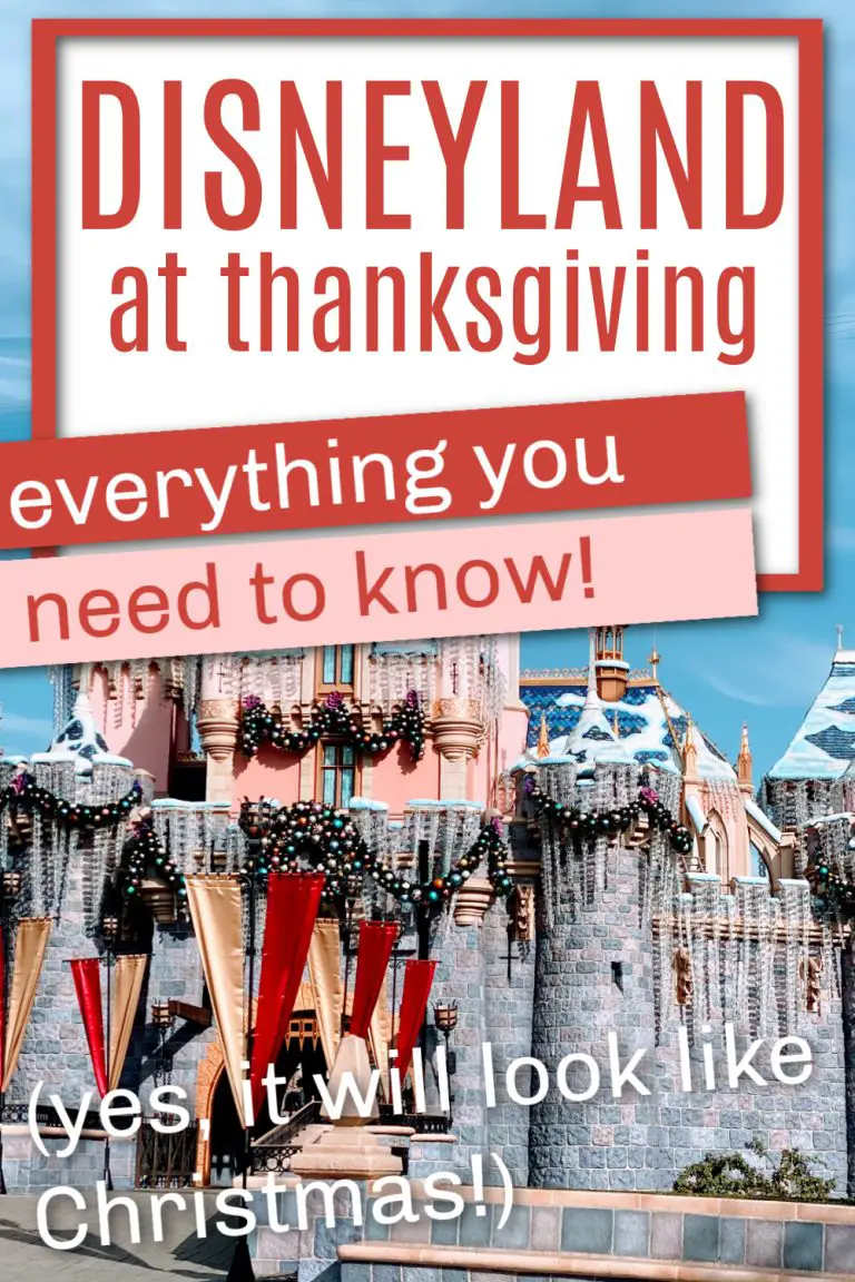 Is Disneyland open on Thanksgiving day? Tips for Thanksgiving Success