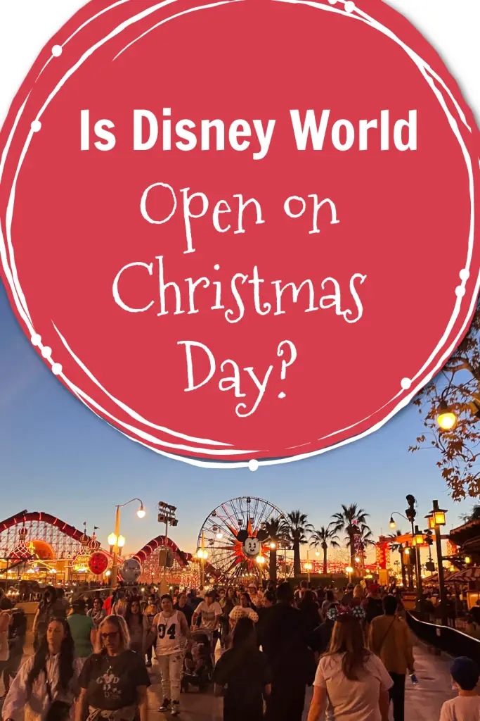 disney world at christmas