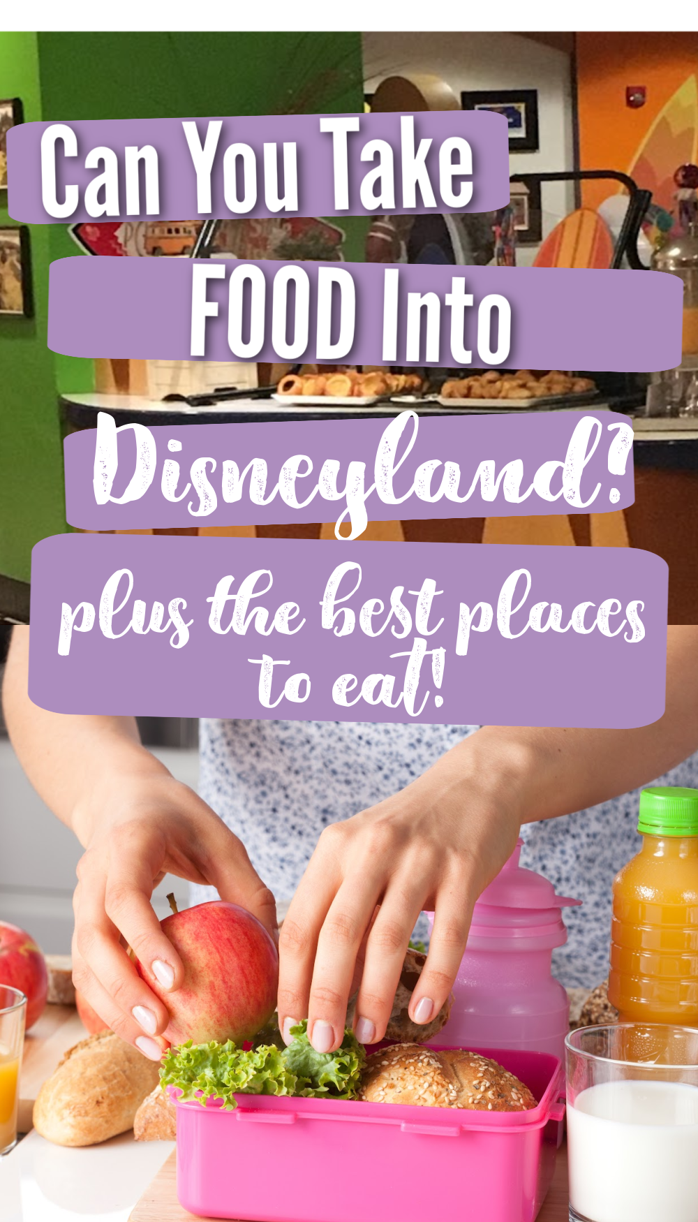can you take food into disneyland