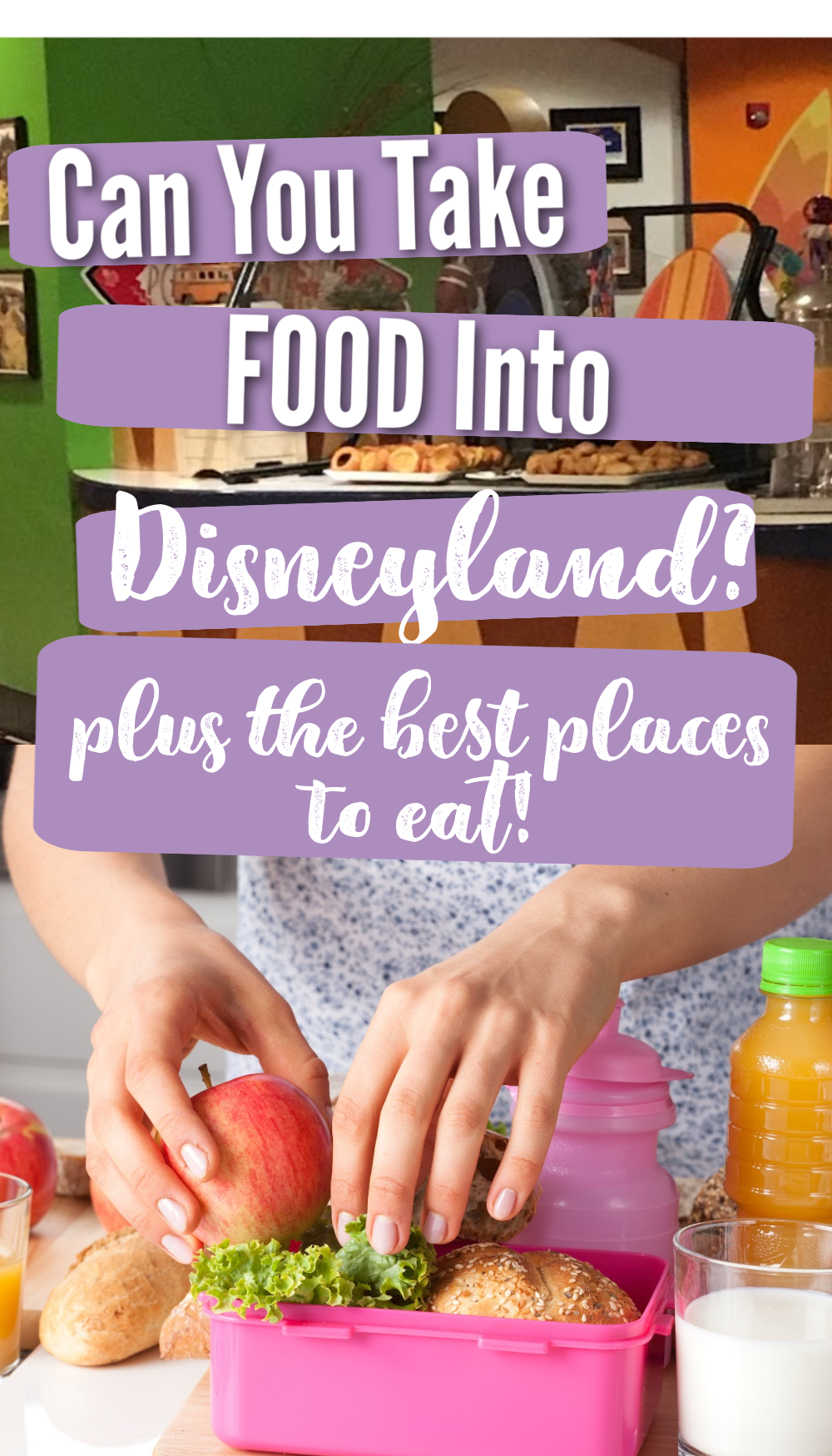 can you take food into disneyland        <h3 class=