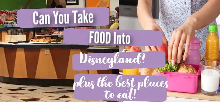 can you bring food into disneyland