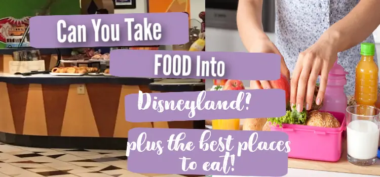 can you take food into disneyland