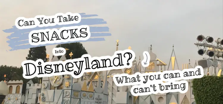 can you take snacks to disneyland