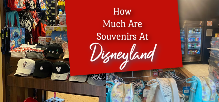 how much are souvenirs at Disneyland
