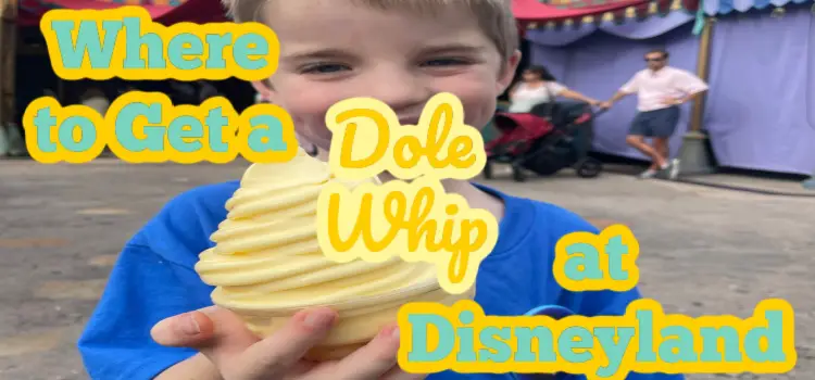 Where To Get a Dole Whip At disneyland