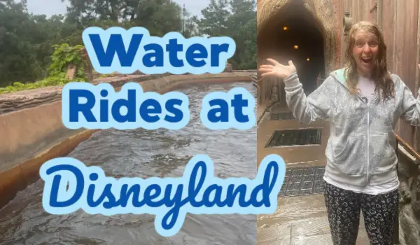 water rides at disneyland