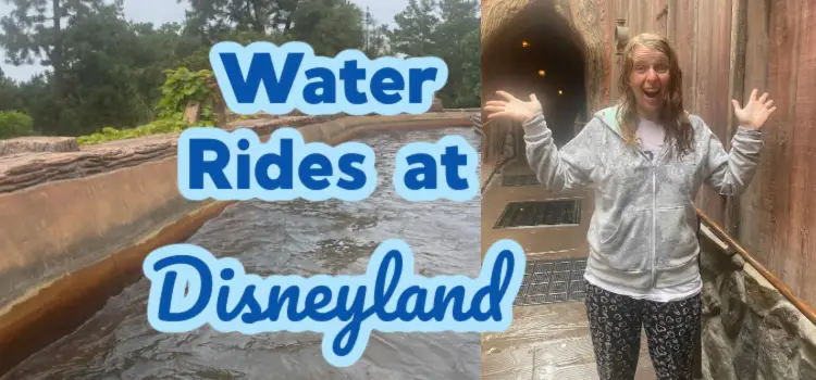 water rides at disneyland